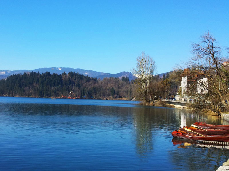 Blejsko jezero spomladi